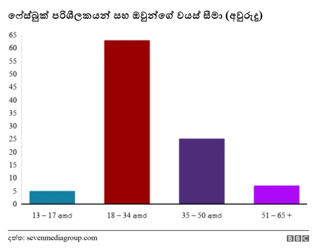 සමාජ ජාල භාවිතය
