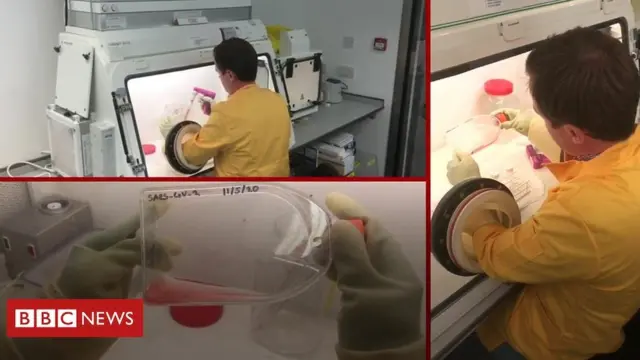 နိုဗီချော့အဆိပ်ကို တစ်စုံတစ်ဦးက မိထားတယ်ဆိုရင် ဒါကို အတည်ပြုနိုင်ဖို့အတွက် တချို့နိုင်ငံတွေရဲ့ အစိုးရတွေက ဒါကို ဓာတ်ခွဲခန်းထဲမှာ ပမာဏနည်းနည်း ဖန်တီးထားနိုင်