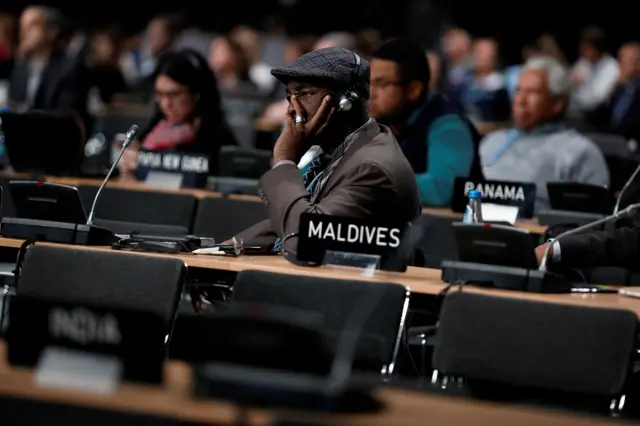 Participants take part in the plenary session during COP24 U.N. Climate Change Conference 2018 in Katowice, Poland December 4, 2018.