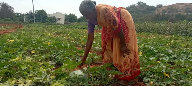 விவசாயம்