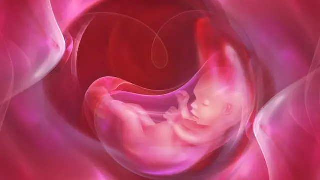 Un bebé en el vientre