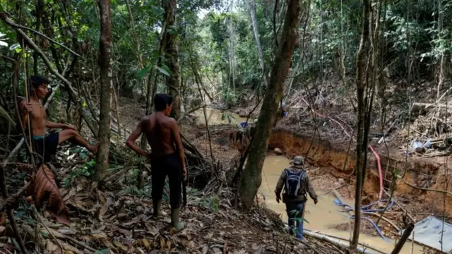 Operação contra garimpo ilegalganhar dinheiro no crashterra Yanomani, na Amazônia