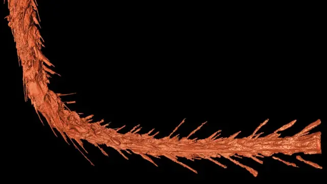 Aproximación gráfica de la cola encontrada.