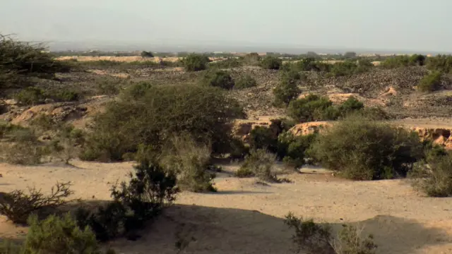 ኣዱሊስ ቅድሚ ኩዕታ ምጅማሩ