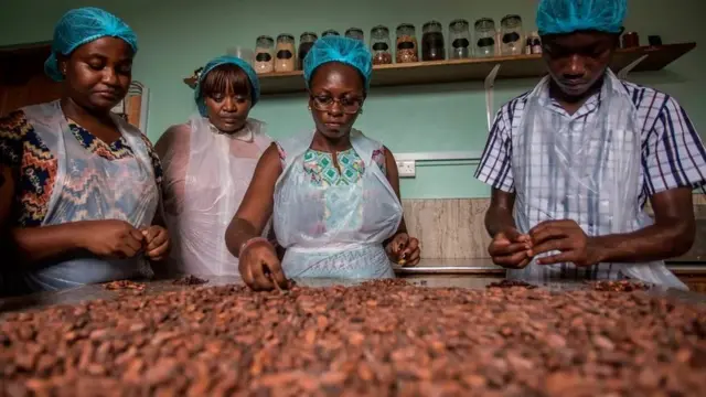 femmes qui trient les fèves de cacao