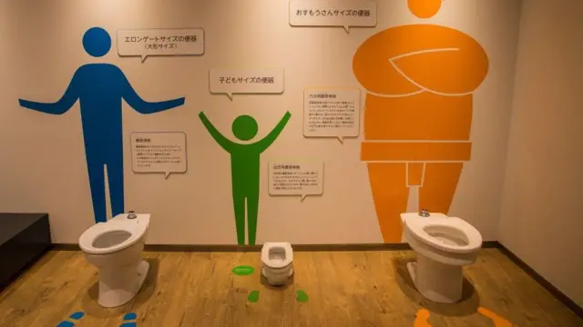 ఫ్లష్, టాయిలెట్లు