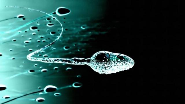 Как проглотить сперму?