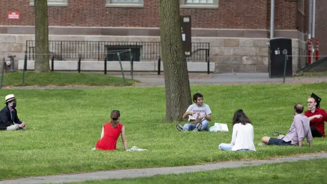 Universitas Harvard, virus corona