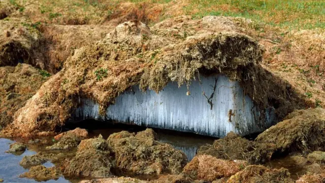 Tibet platosundaki donmuş toprak tabakası
