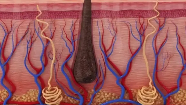 علامتی تصویر