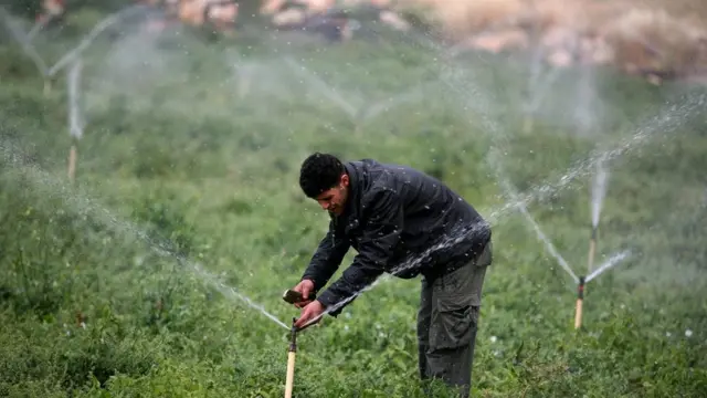 ንተኽሉ ማይ ዘስቲ ሰብ