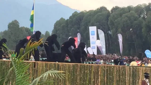 Picha za sokwe mbele ya umati wa watu waliohudhuria tamasha hilo linalovutia utalii nchini Rwanda