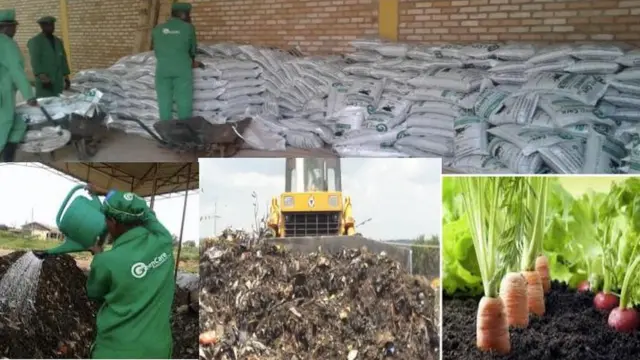 Ahandi ni mu ruganda Greencare Rwanda Limited mu karere ka Huye, rukora ifumbire ivuye mu bishingwe