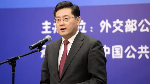 秦刚出席中国外交部主办活动（中新社资料图片）
