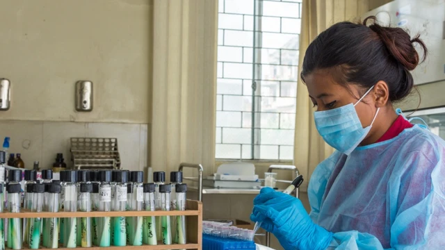 परीक्षणको तयारी।