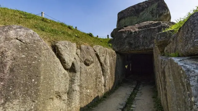 أشجار يابانية عتيقة "تتنبأ" بالمستقبل