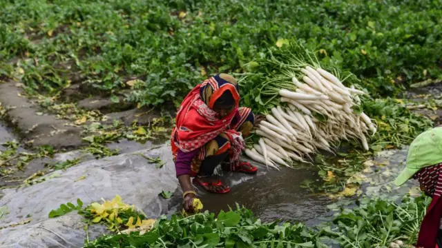 ਸੰਕੇਤਕ ਤਸਵੀਰ