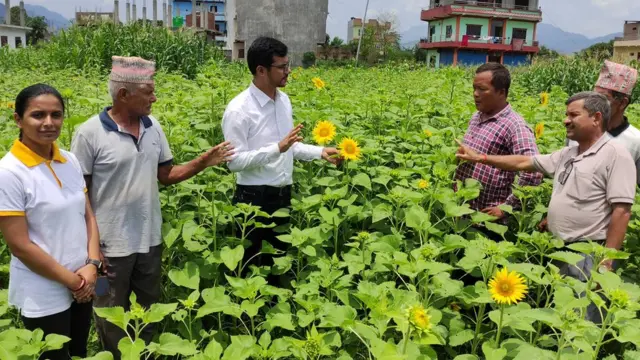 जग्गा जमिन