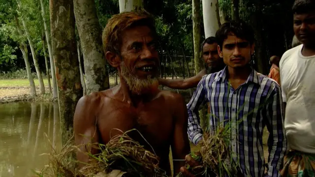 গরুকে খাওয়ানোর ঘাসও নেই কোথাও।