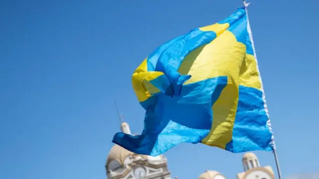 swedish flag, sweden law, job, startup
