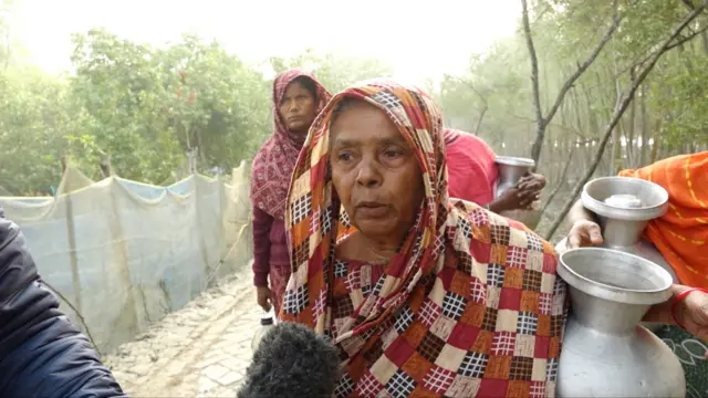 আমেনা বেগম