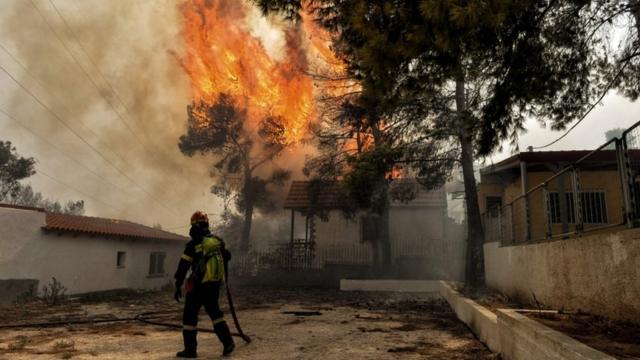 ギリシャのアテネ郊外で森林火災が起こり、数十人の死亡が確認された