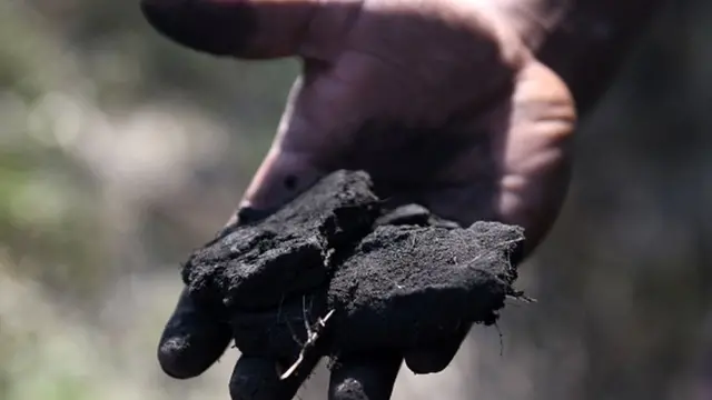 நிலக்கரி நெருக்கடியில் இந்தியா