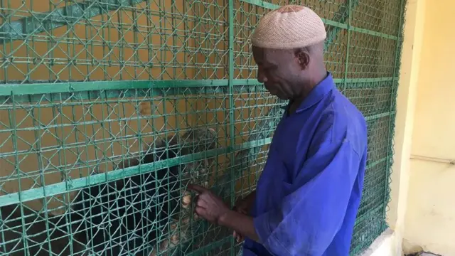 Mallam Abba pose wit lion wey dey inside cage