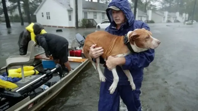 чоловік та собака