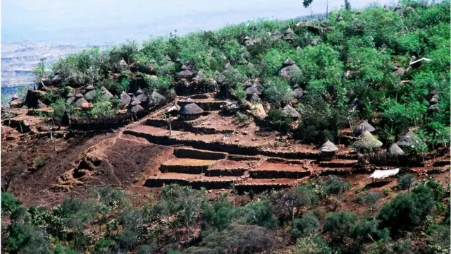 Manneen Koonsoo gaara gubbaa taa'an