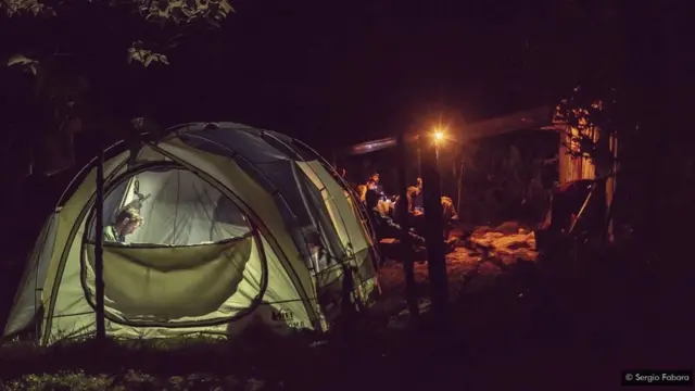 Les naturalistes passent des semaines dans la jungle, recueillant le plus possible dans cet habitat jusqu'alors fermé