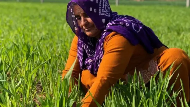 विनेशची आई