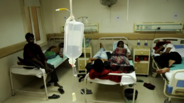 డెంగ్యూ