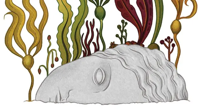 Ilustración de Katie Scott