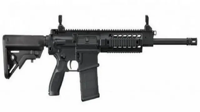 सिग सॉर असॉल्ट राइफल