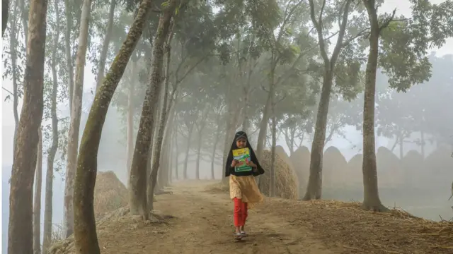 স্কুল শিক্ষার্থী।