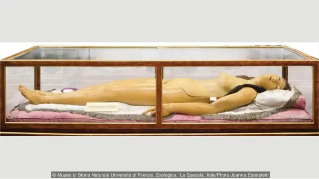 Museo di Storia Naturale Università di Firenze, Zoologica, 'La Specola', Italy/Joanna Ebenstein