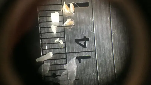 நுண்ணோக்கியில் நுண்ணிய பிளாஸ்டிக்