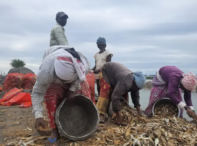 చేపలు ఏరుతున్న మహిళలు