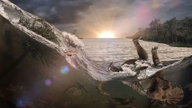 17 மணிநேரத்தில் 3,000 கி.மீ பயணித்த சுனாமி அலைகளால் அழிந்ததா டைனோசர்கள்?