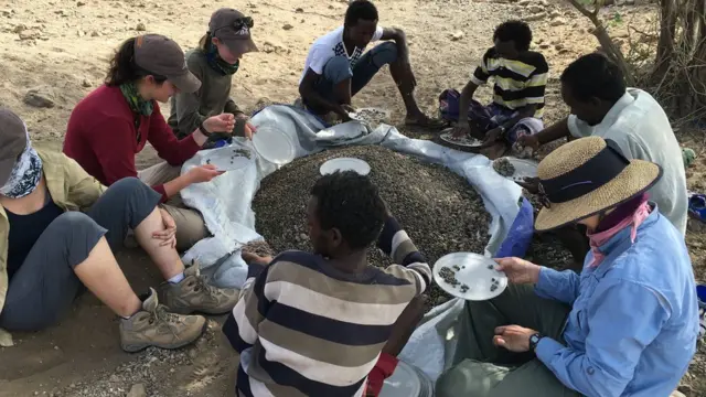 የምርምር ቡድኑ