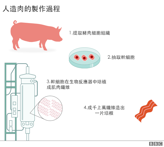 人造肉的生產工程