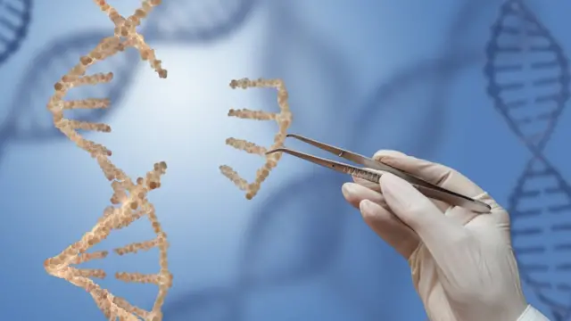 CRISPR