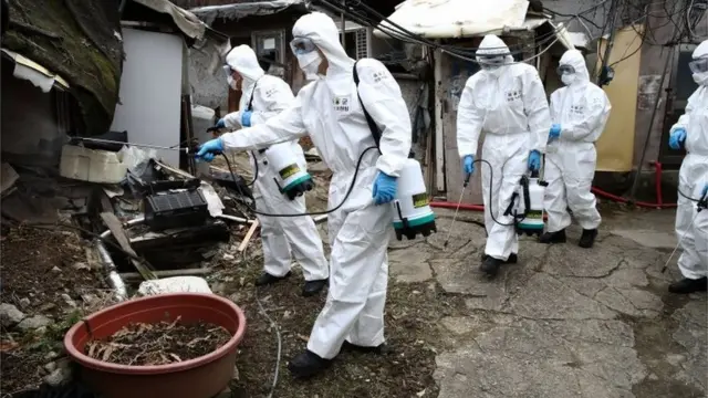 दक्षिण कोरिया में कोरोना वायरस