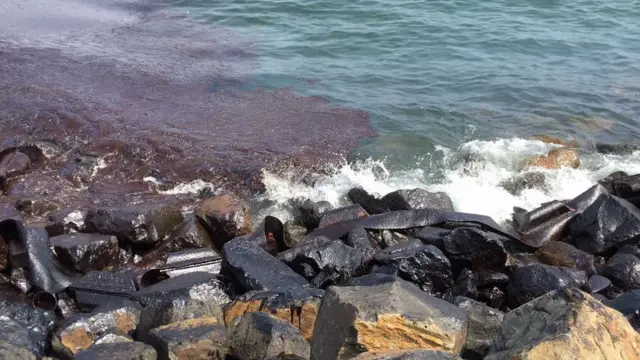 எண்ணெய் கசிவு சுத்திகரிப்பு