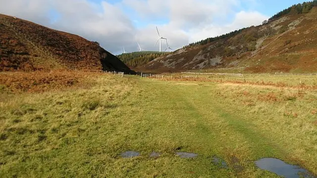Долина в Ламмермурских холмах.