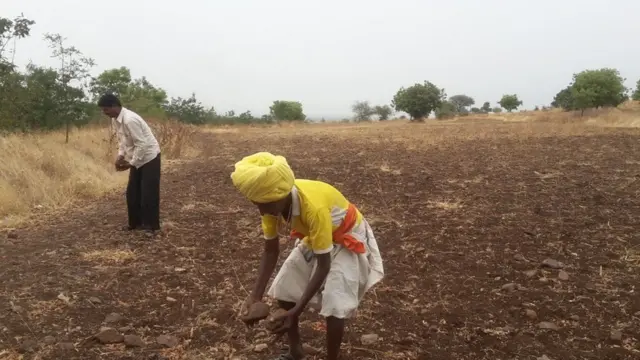 ખેતરમાં કામ કરતા ખેડૂતો