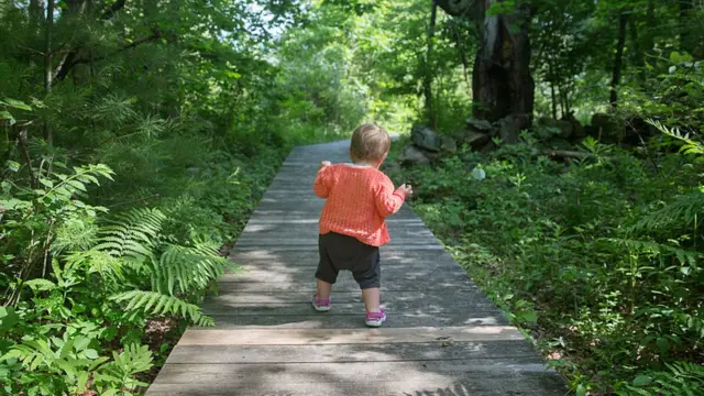 Foto colorida mostra bebê branco e loirobetano aplicação androidcostas andandobetano aplicação androidum caminhobetano aplicação androidmadeira entre árvoresbetano aplicação androidum dia ensolarado