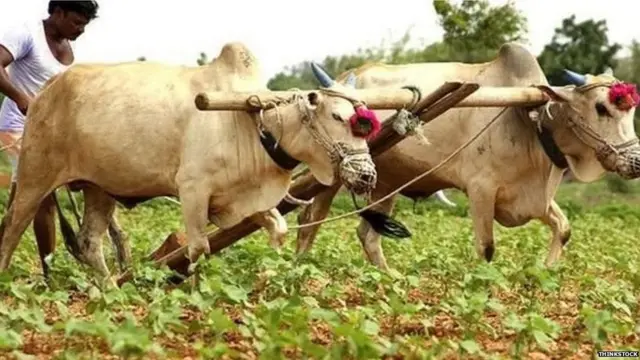 ખેતી કરતાં ખેડૂત