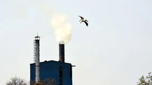 ઇન્ડસ્ટ્રી